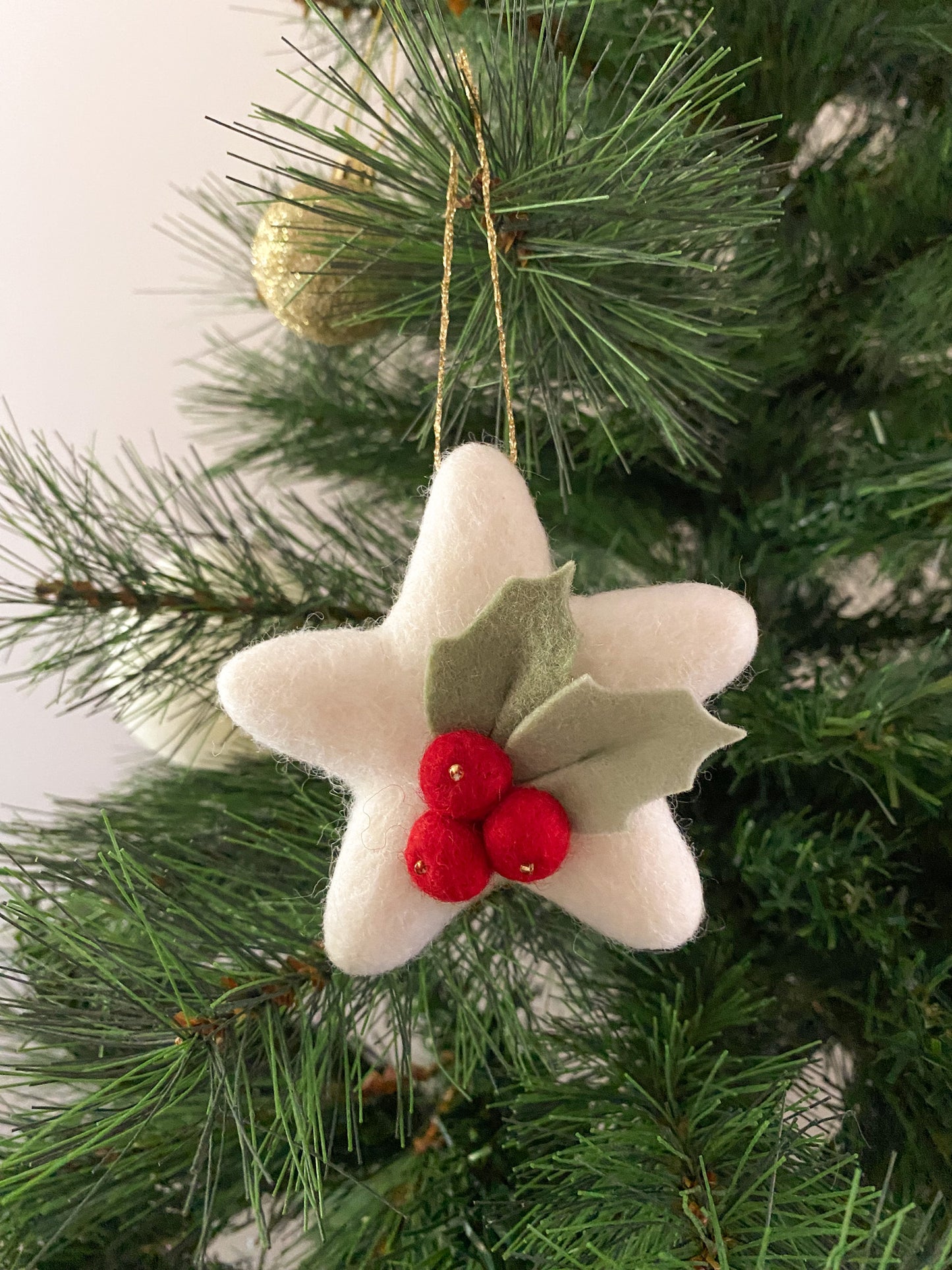 Christmas Star Ornament - White Star