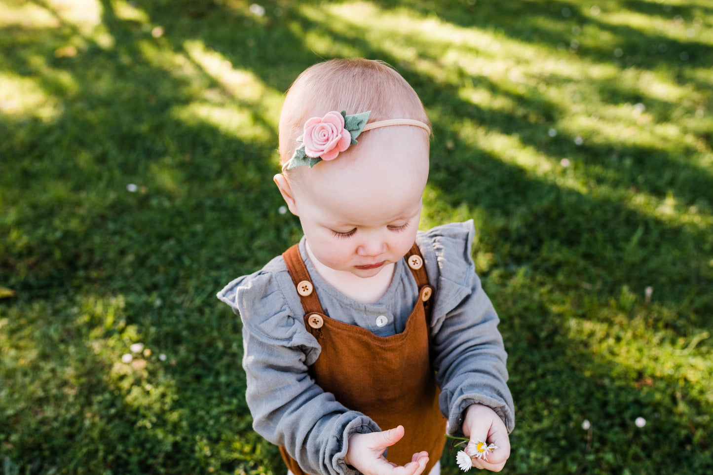 Baby Rose Headband/ Hair clip - Blush